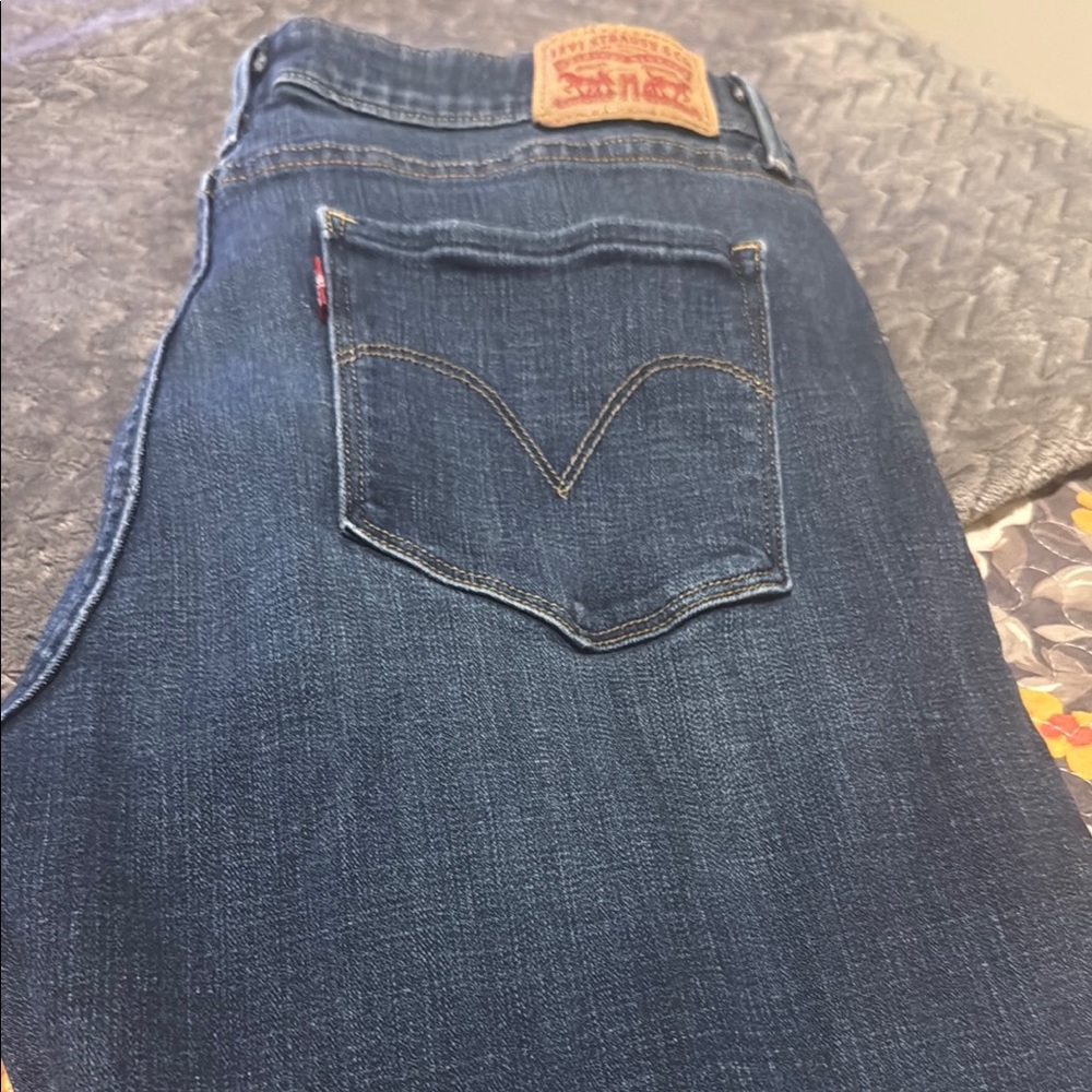 Levi's Blue Skinny Jeans Classic Style - Mid Rise Skinny